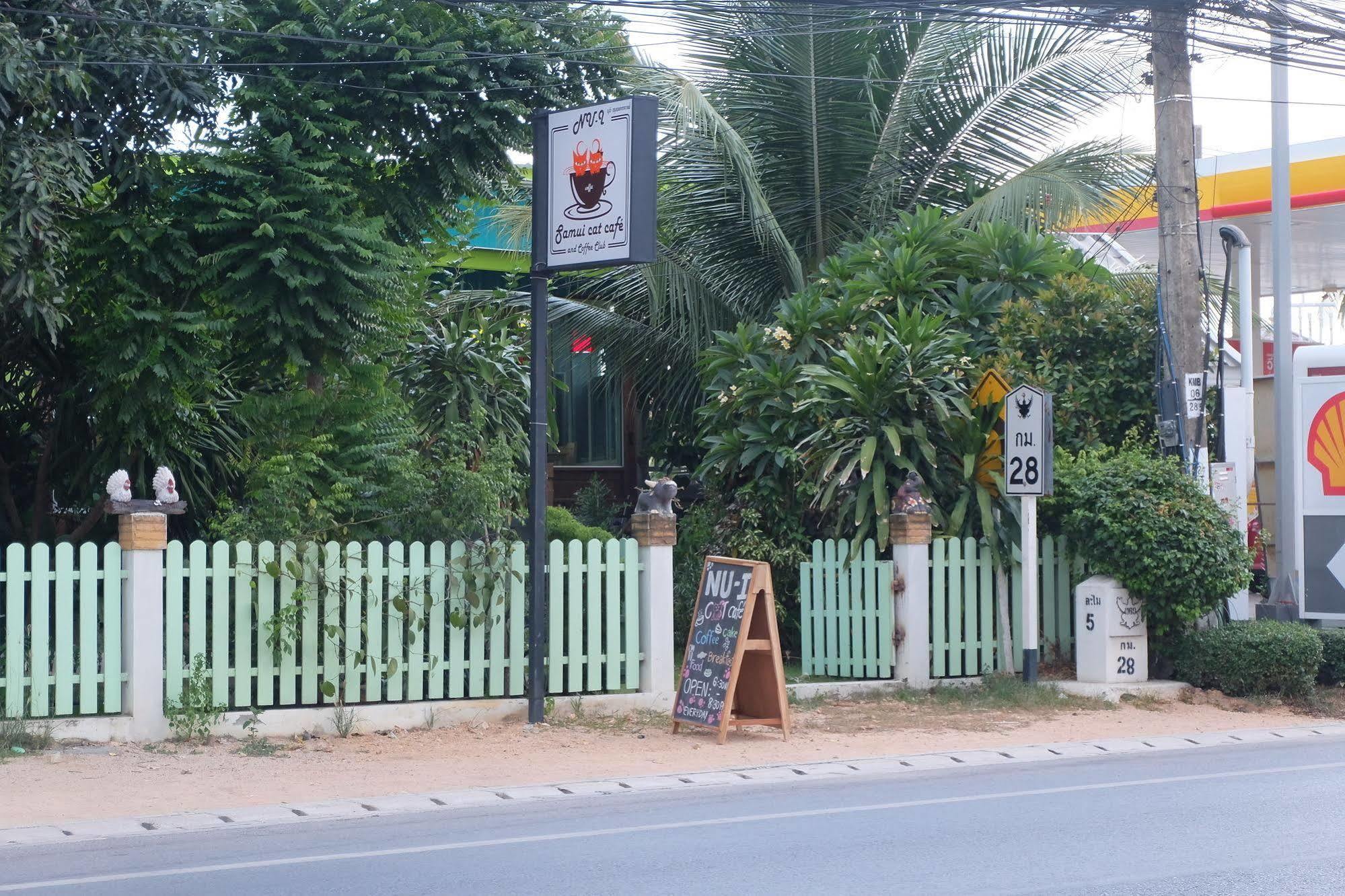 苏梅岛帕瑟旅舍旅舍 外观 照片